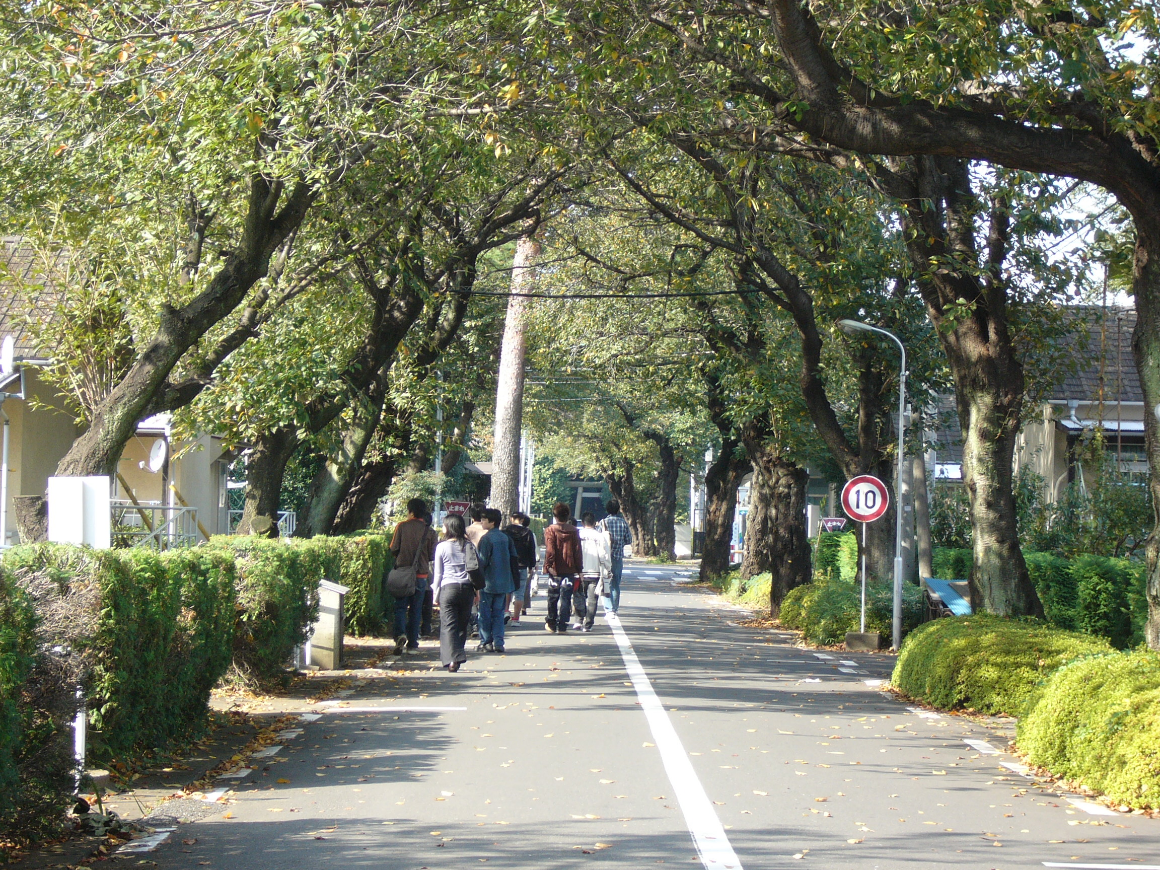 全生園を歩く