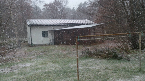 雪の季節がやって来ました