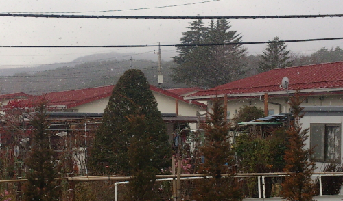 小雪が舞う楽泉園上地区