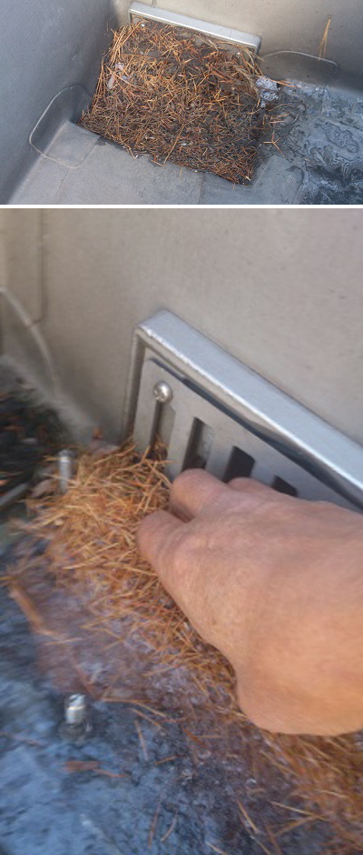 ゴミを取り除きました