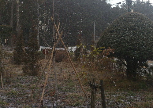 降っては消え、消えてはまた降りを繰り返してやがて根雪になります