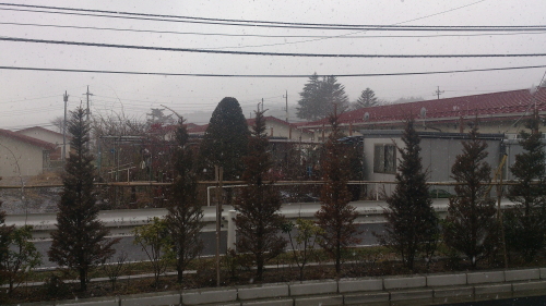 降っては消え、消えてはまた降りを繰り返してやがて根雪になります